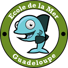 Centre de plongée Guadeloupe