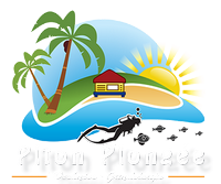 Centre de plongée Piton plongée Deshaies Guadeloupe