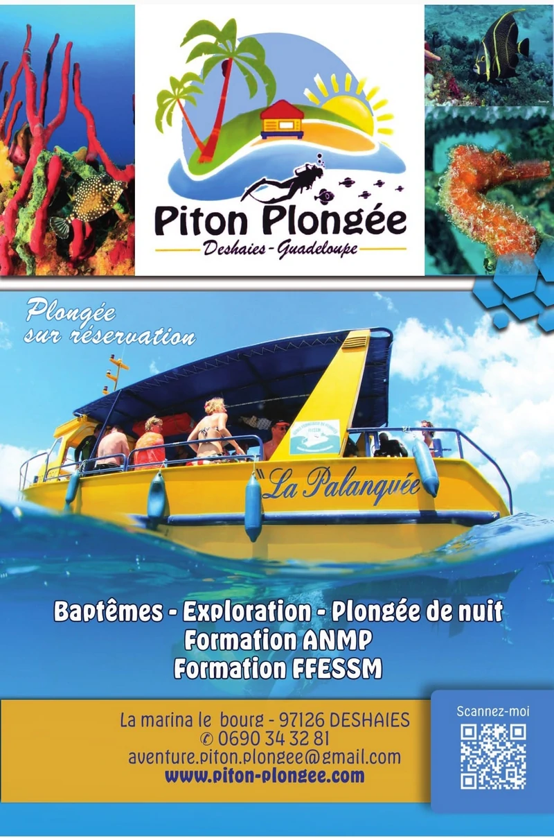 Centre de plongée Guadeloupe Piton plongée